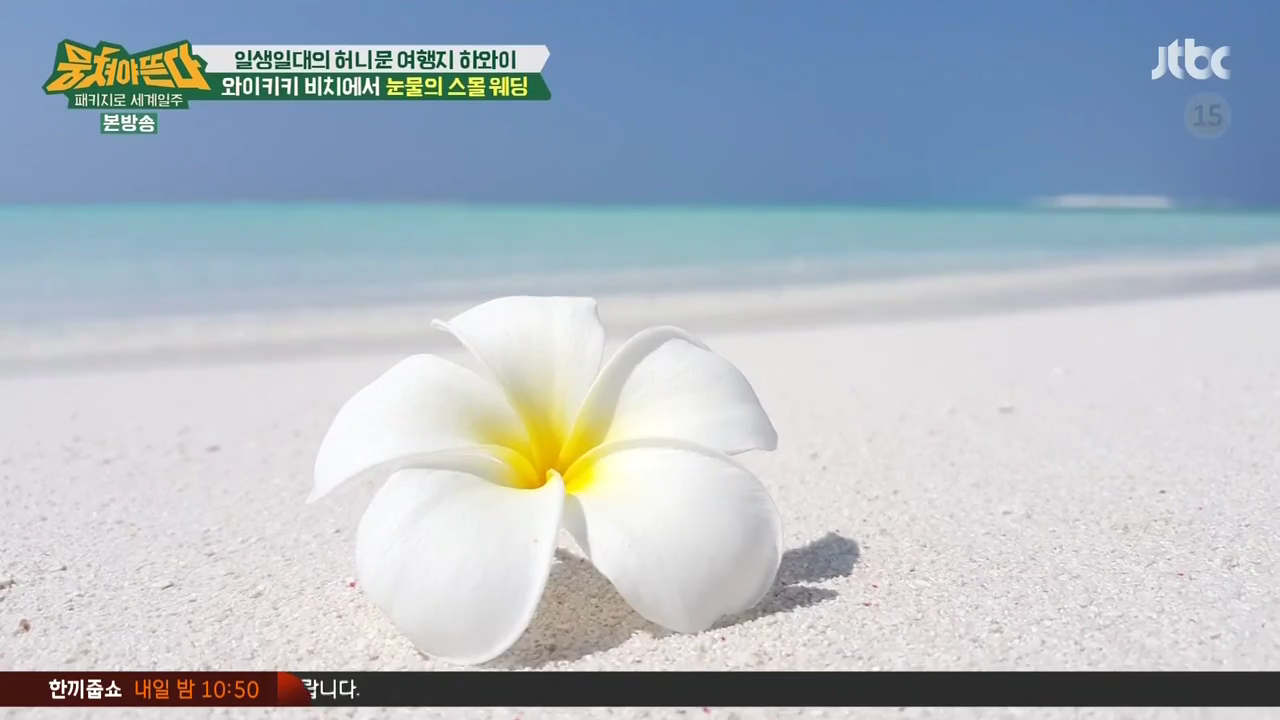 JTBC_뭉쳐야뜬다_하와이_라벨라_신혼여행_04_176스몰웨딩.png