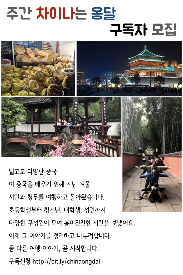 주간 차이나는옹달.001.png