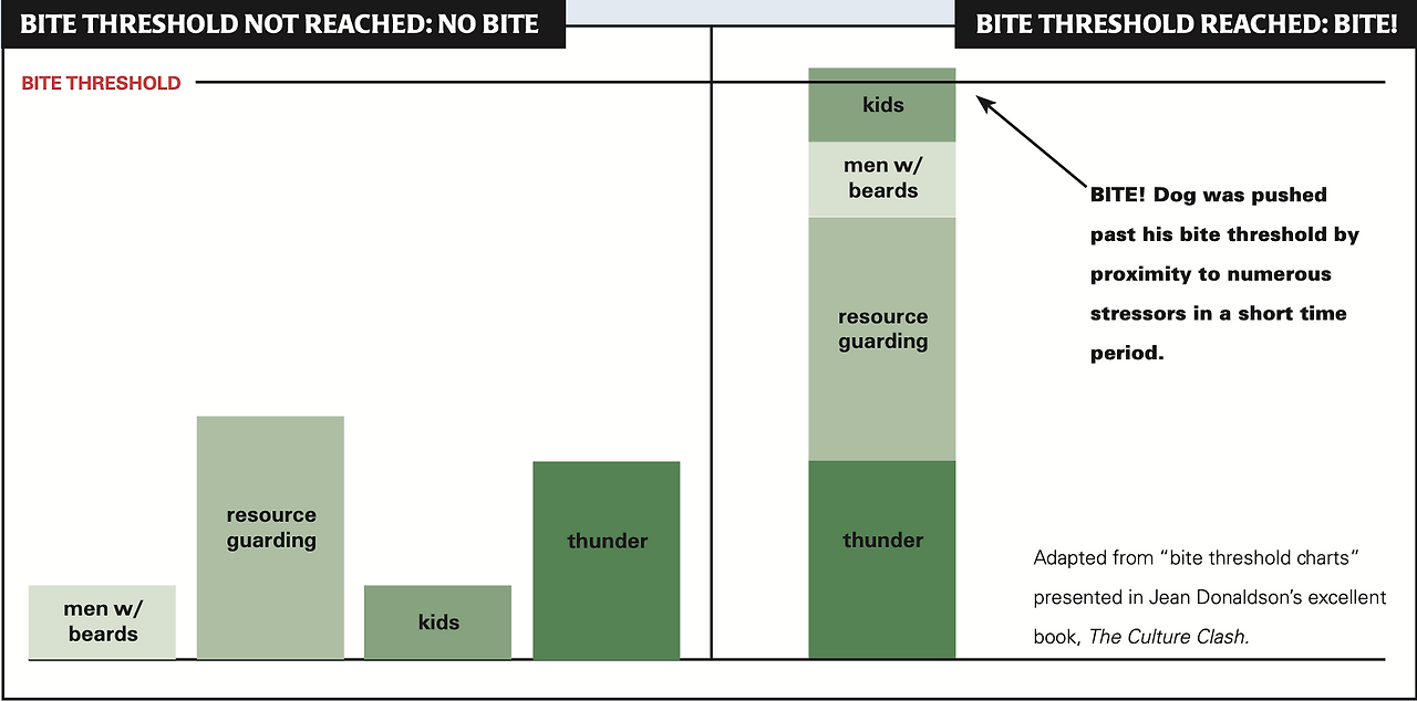 스크린샷 2020-04-03 오후 7.43.34.png