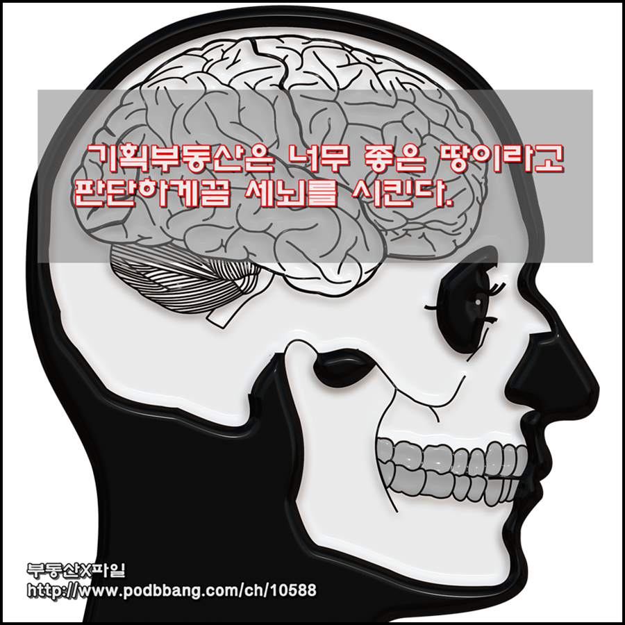 기획부동산은 너무 좋은 땅이라고 판단하게끔 세뇌를 시킨다 900.png