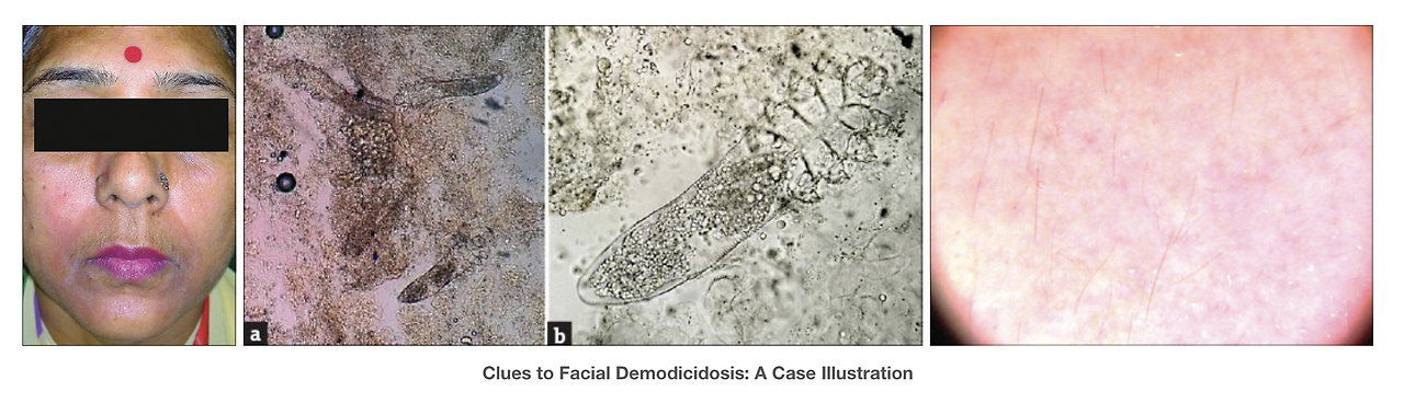 Screen Shot 2019-10-21 at 8.04.13 PM.png