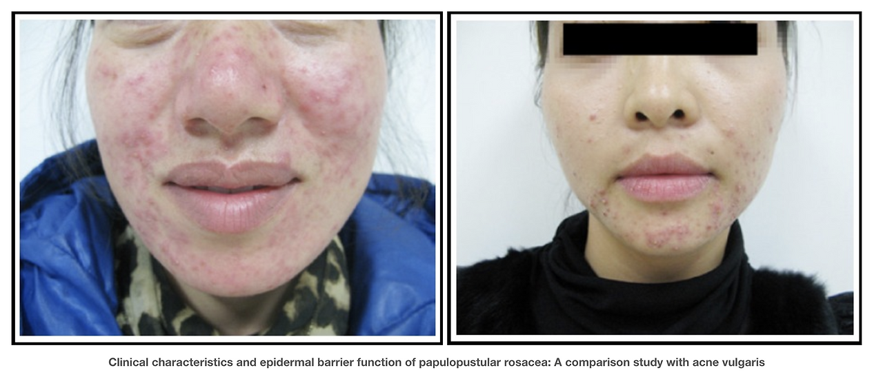 Screen Shot 2019-10-21 at 8.05.15 PM.png