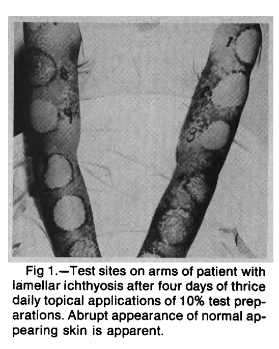 Screen Shot 2019-03-18 at 7.34.21 PM.png