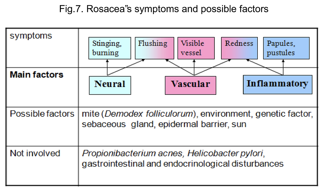 Screen Shot 2019-10-21 at 6.03.03 PM.png