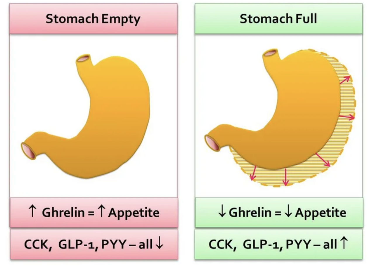 Screen Shot 2019-09-23 at 4.00.45 PM.png