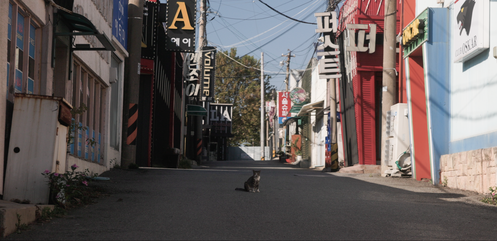 아메리칸 타운.png