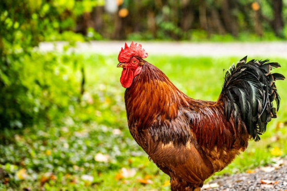 스크린샷 2025-02-12 오전 12.29.04.png