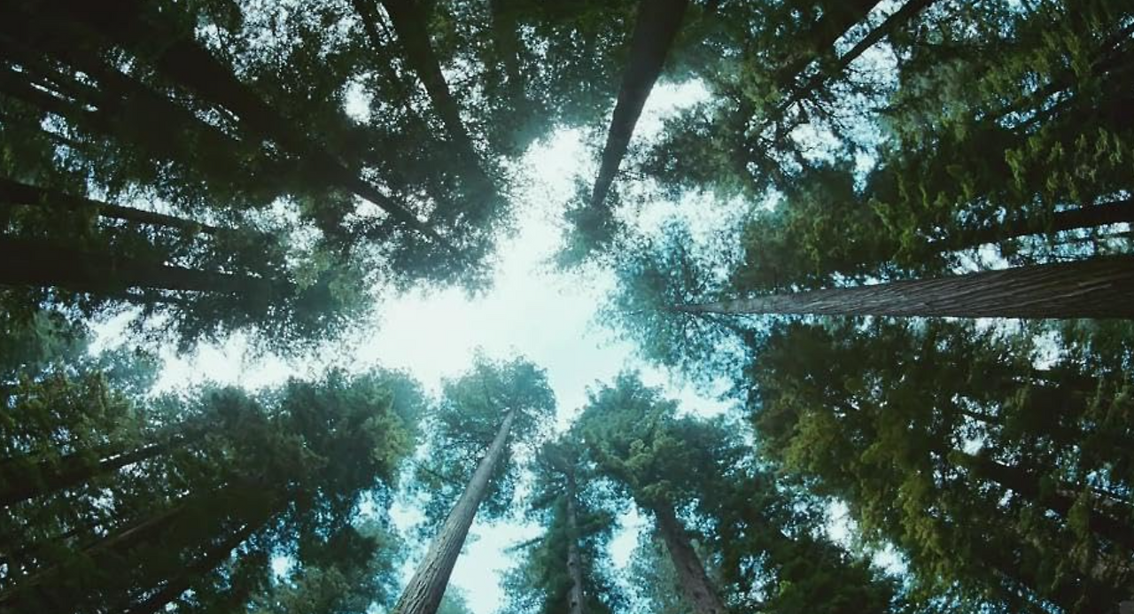 스크린샷 2024-10-17 오후 10.39.59.png