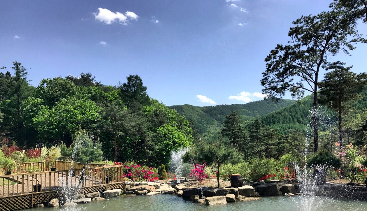 Pyeongchang _Botanic Garden.png