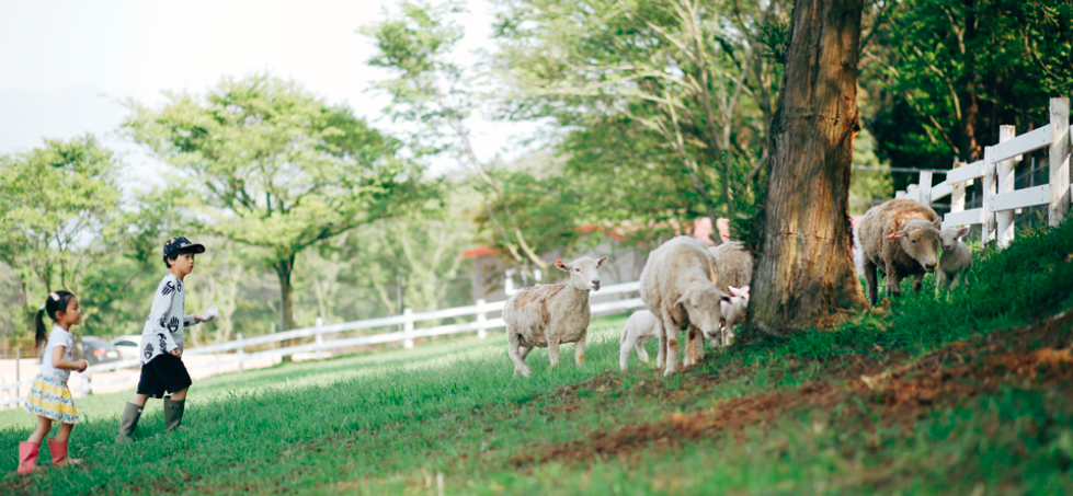 2. Korea_Namhae_Sangsang Flock Ranch.png