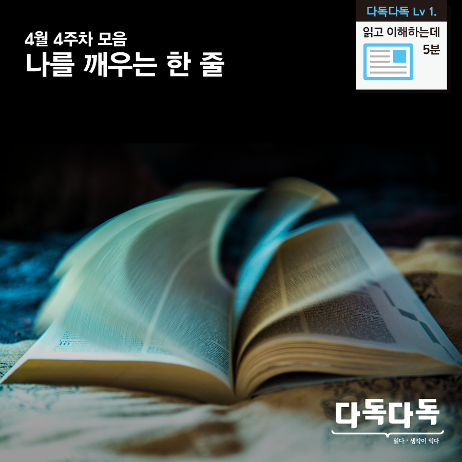 blog0422_나를-깨우는-한-줄.png