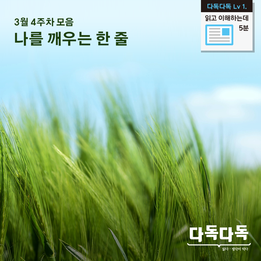 blog0401_나를 깨우는 한 줄-2.png