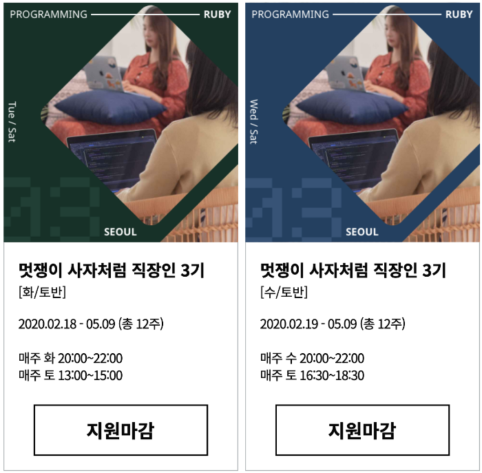 멋쟁이 사자처럼 직장인 3기.png