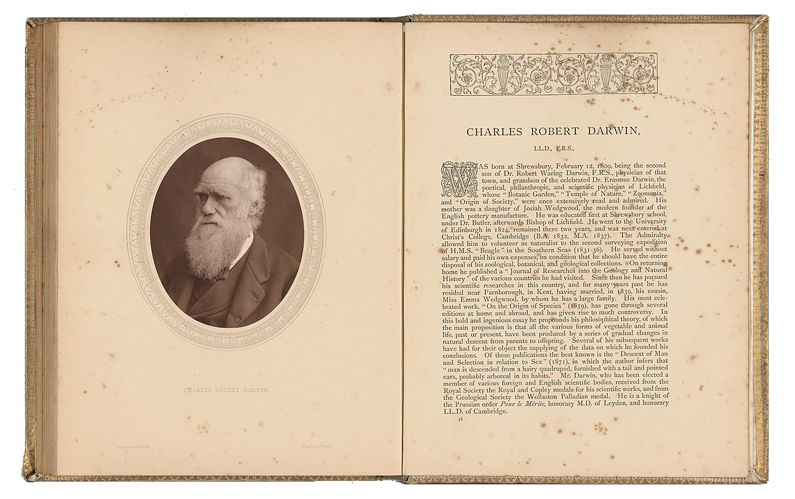 1146px-Portret_van_Charles_Darwin_Charles_Robert_Darwin_(titel_op_object),_RP-F-2001-7-235C-36.png