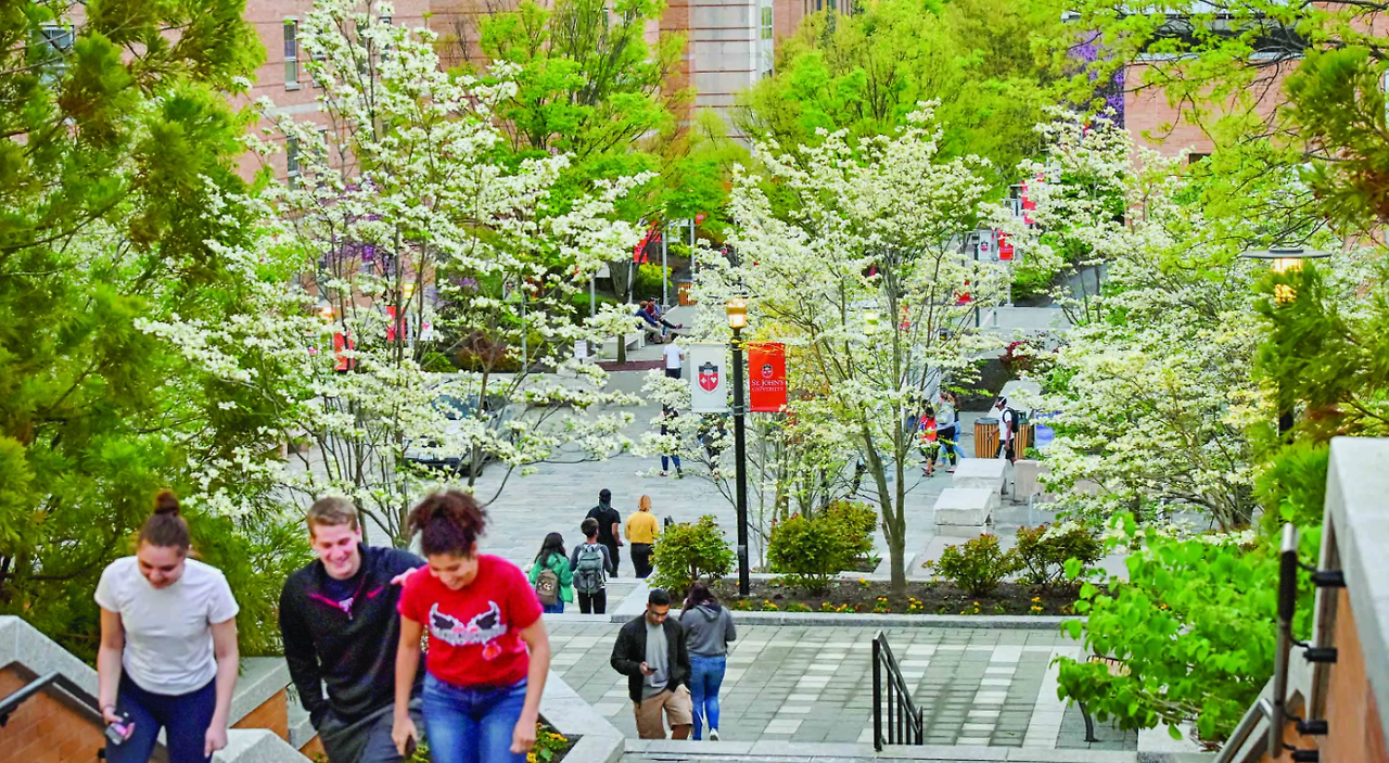 세인트존스 2.png