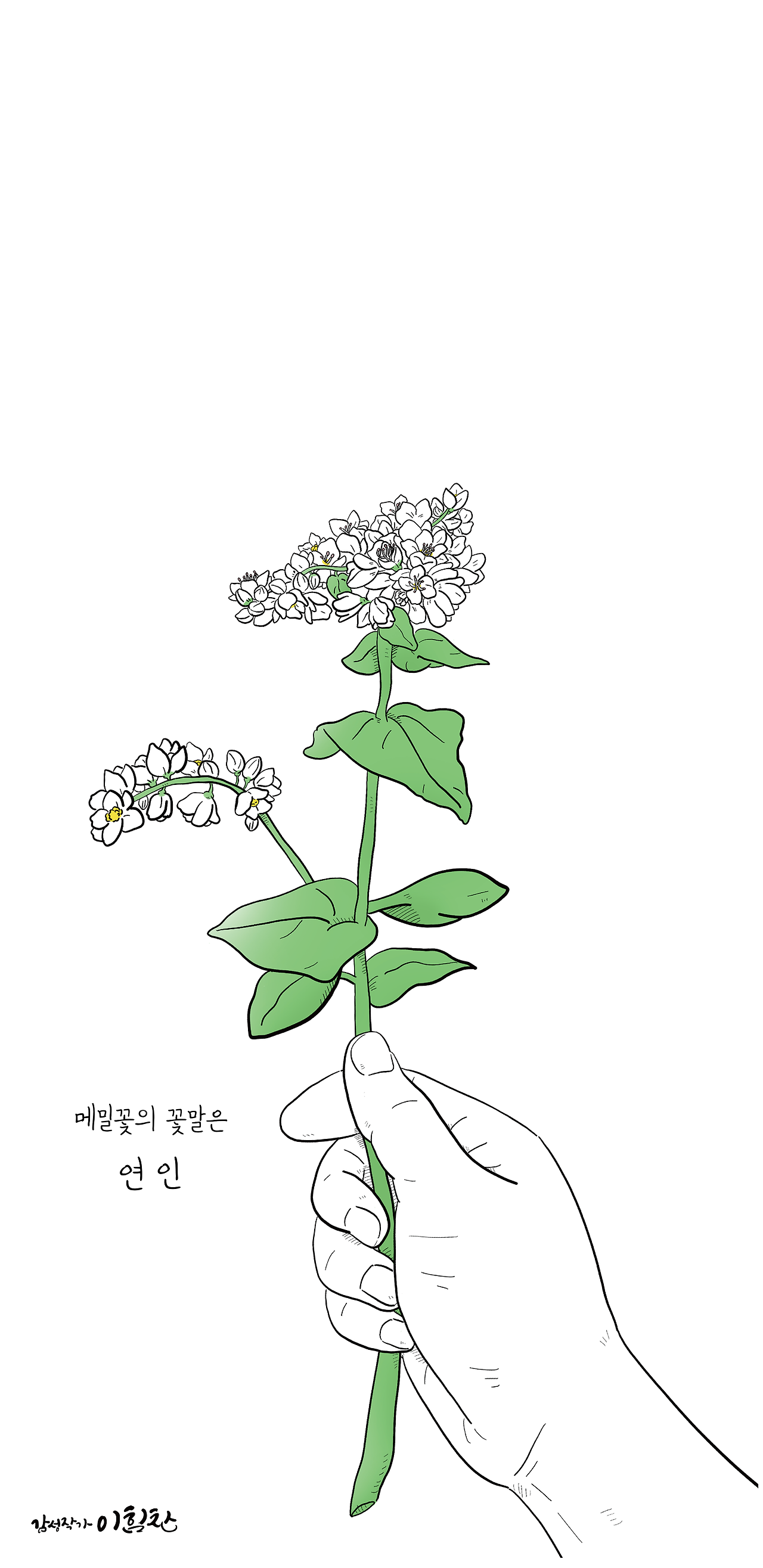 꽃말배경7 (1).png