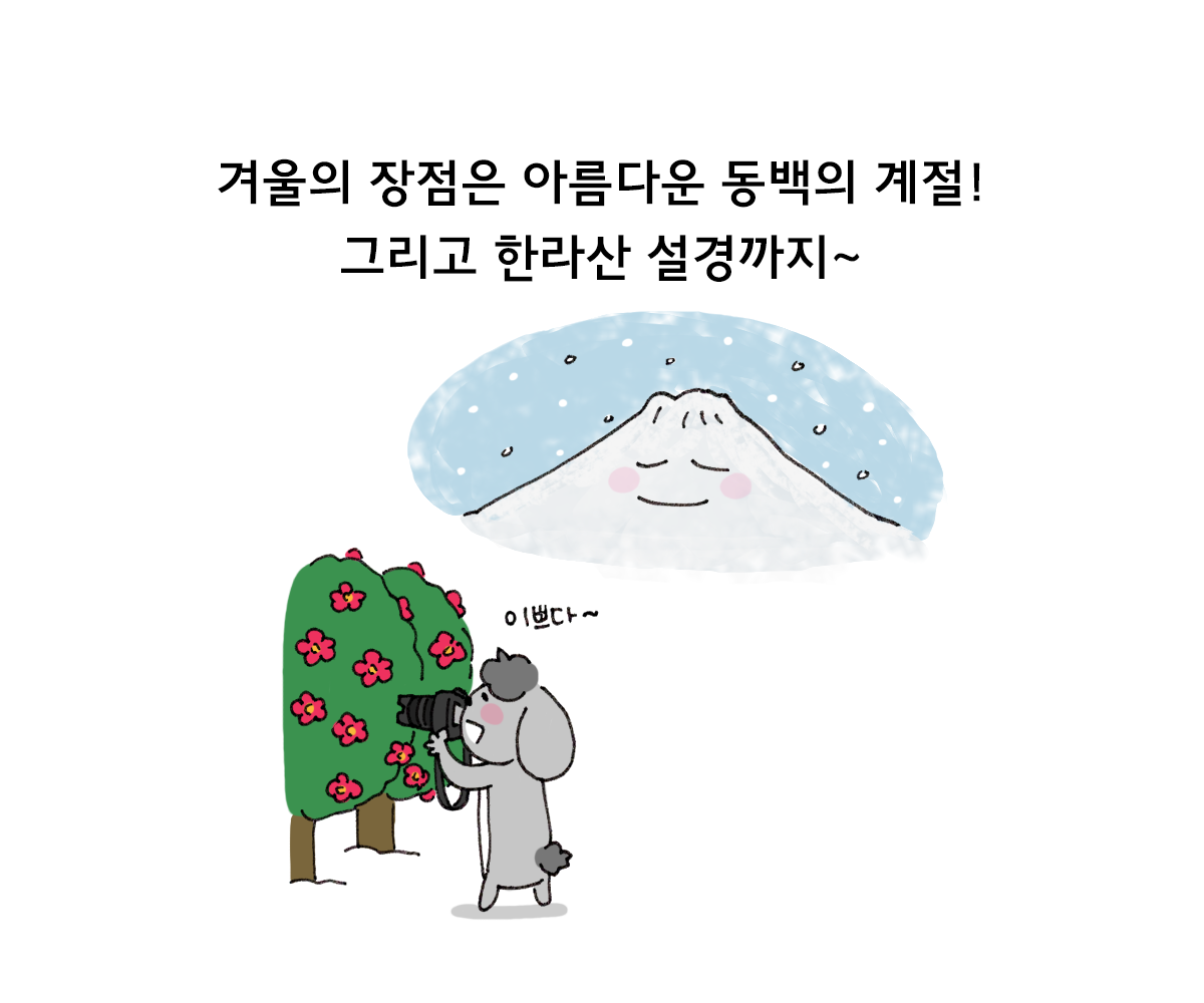 제주니까 19화_13.png