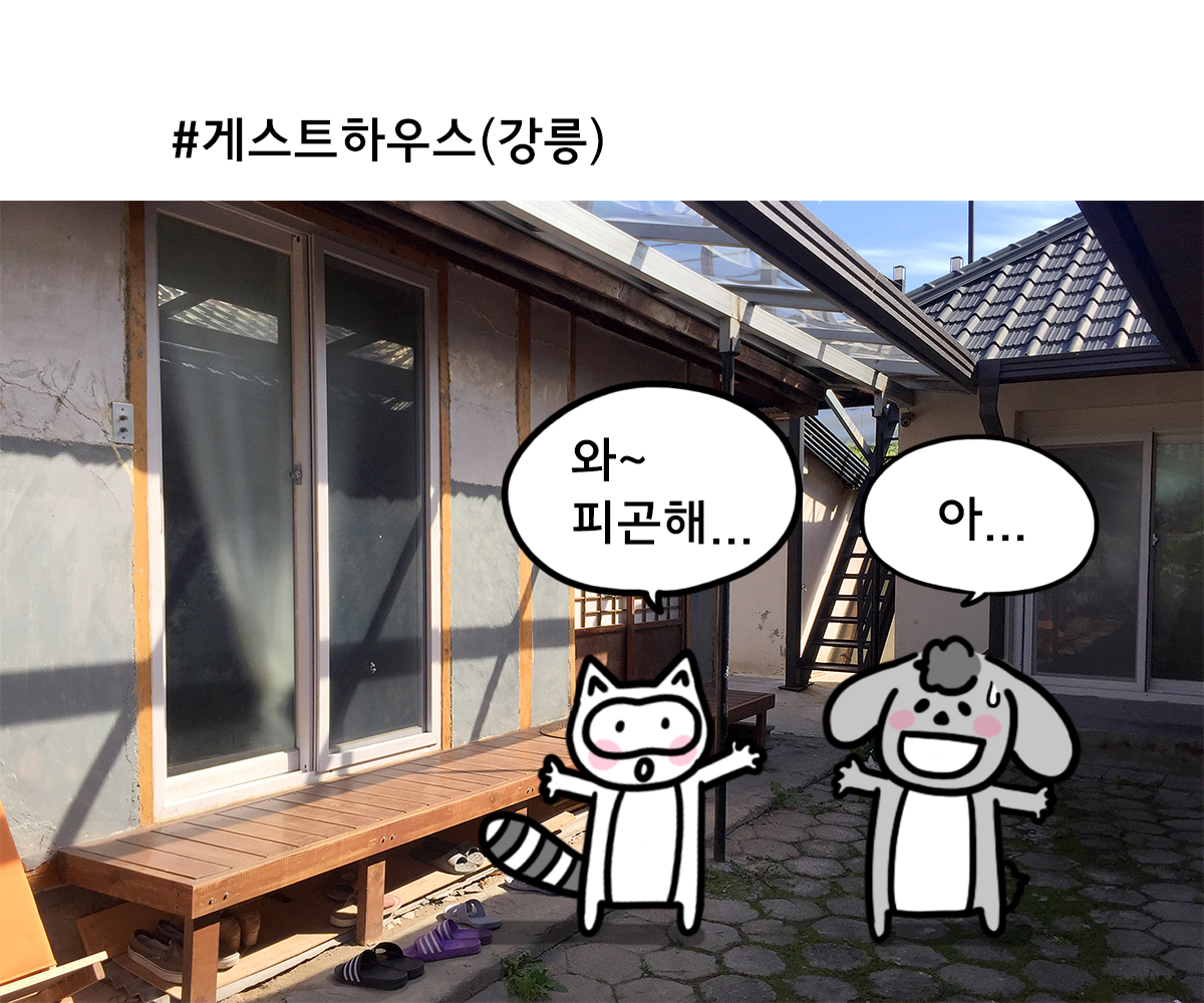 제주니까 9화_8.png