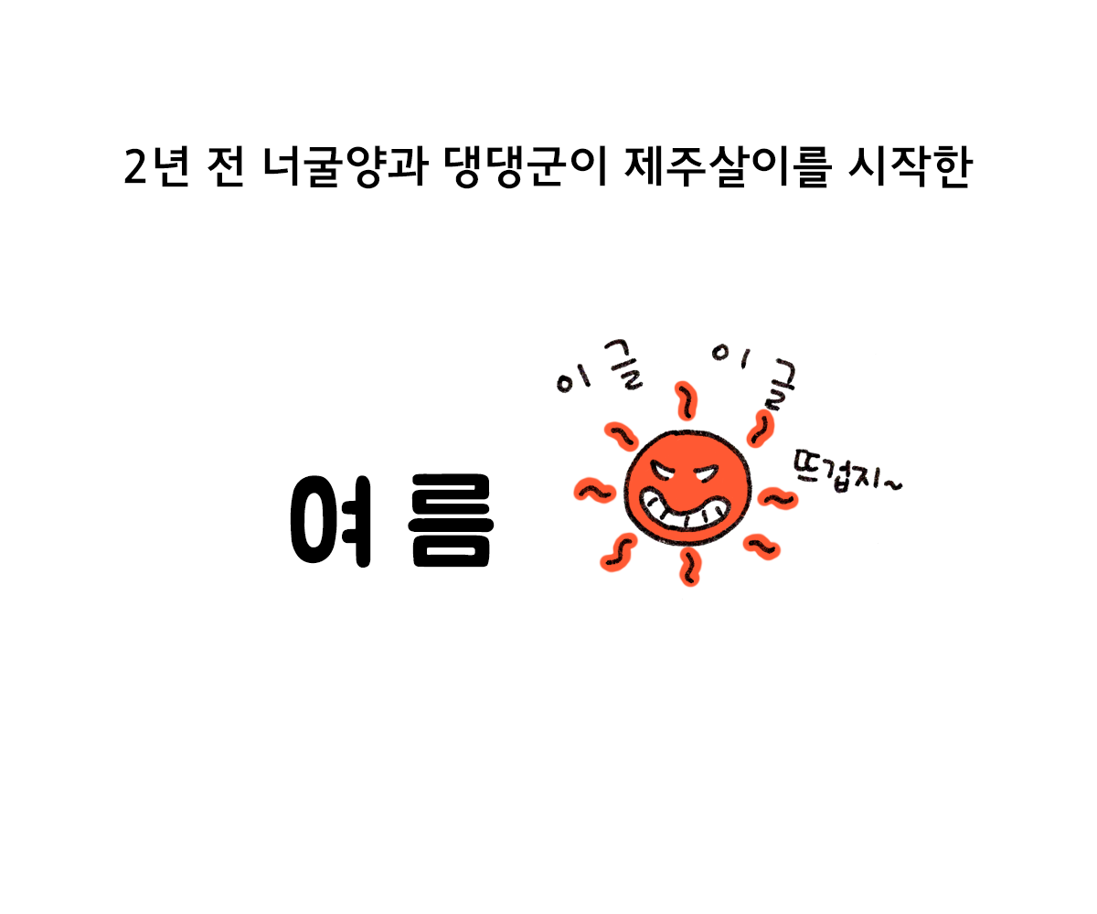 제주니까 19화_6.png
