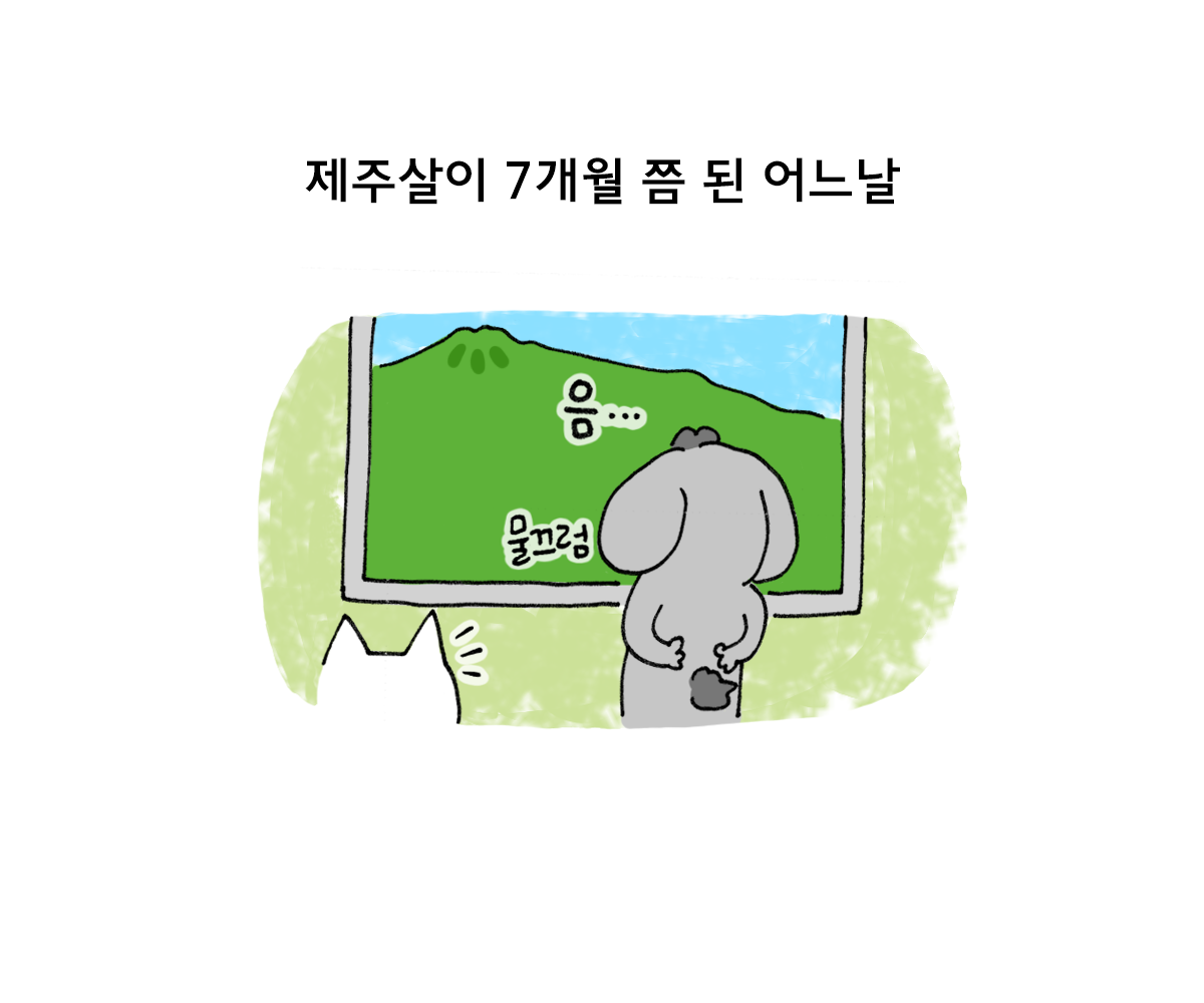 제주니까 11화_1.png