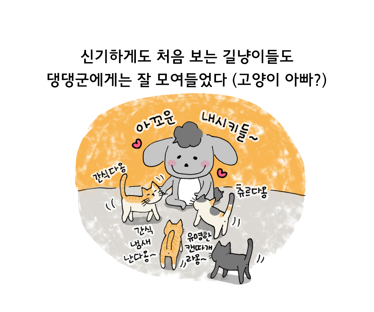제주니까 5화_11.png