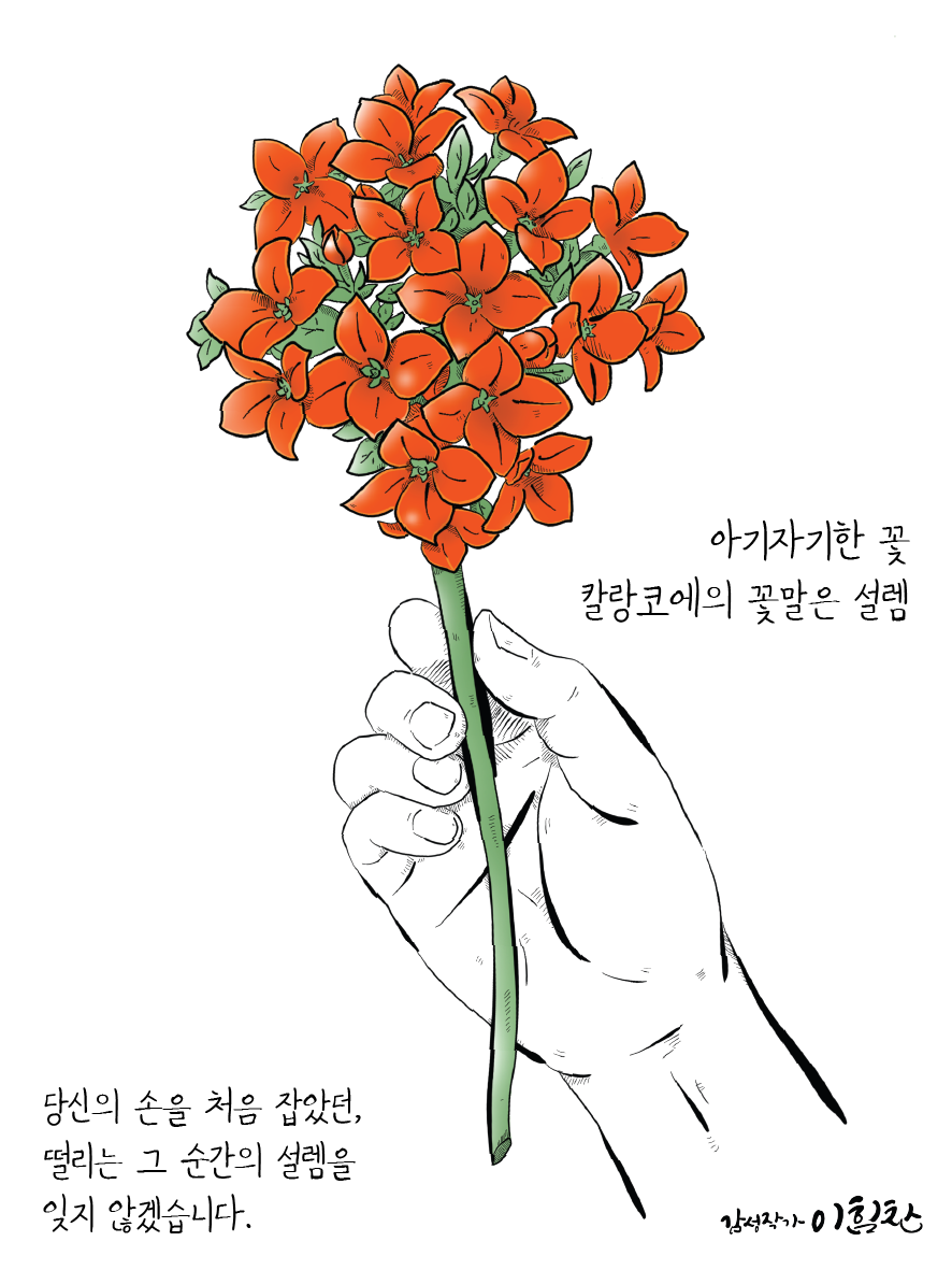 꽃이야기-08.png