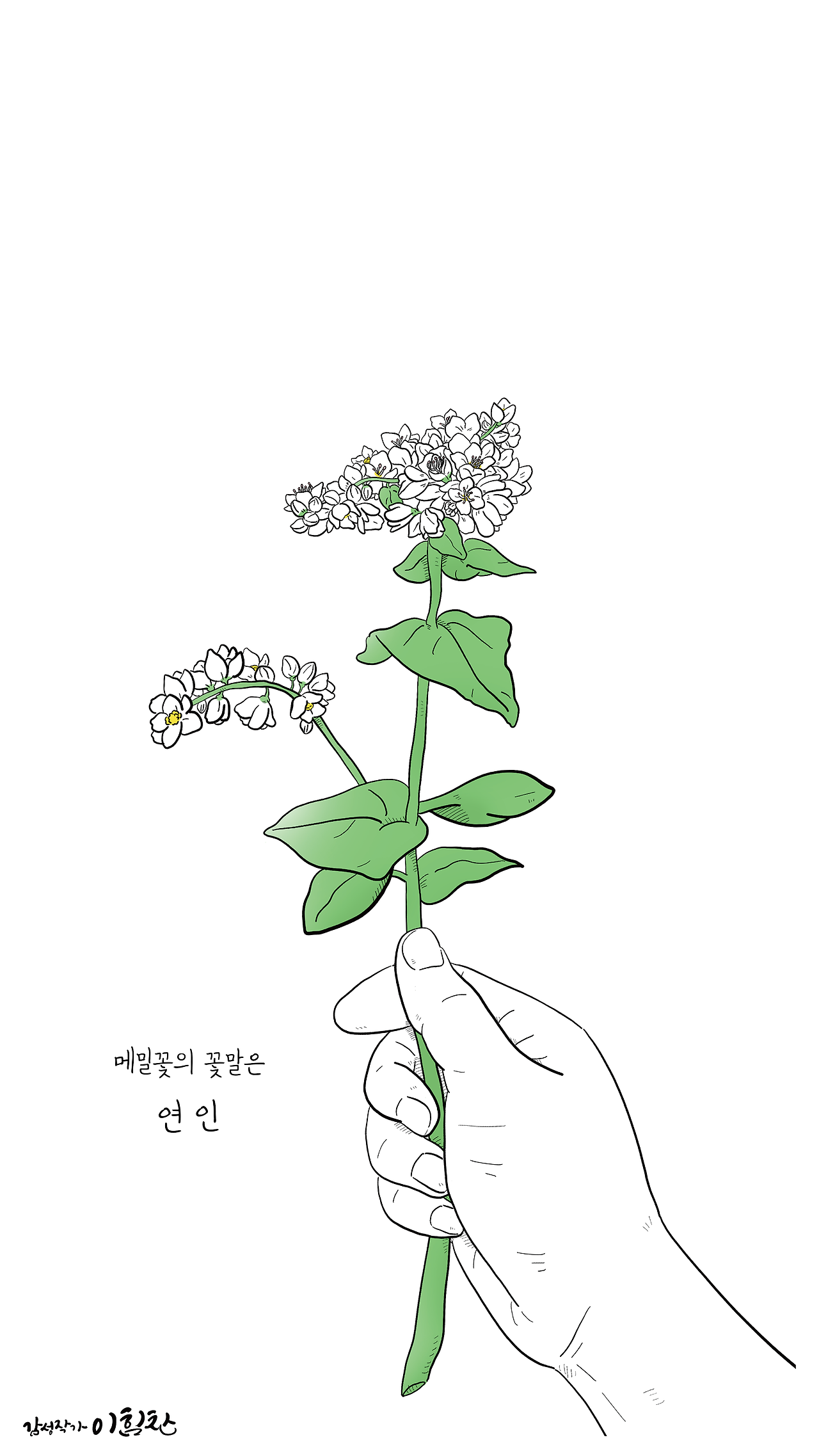 꽃말배경7 (2).png