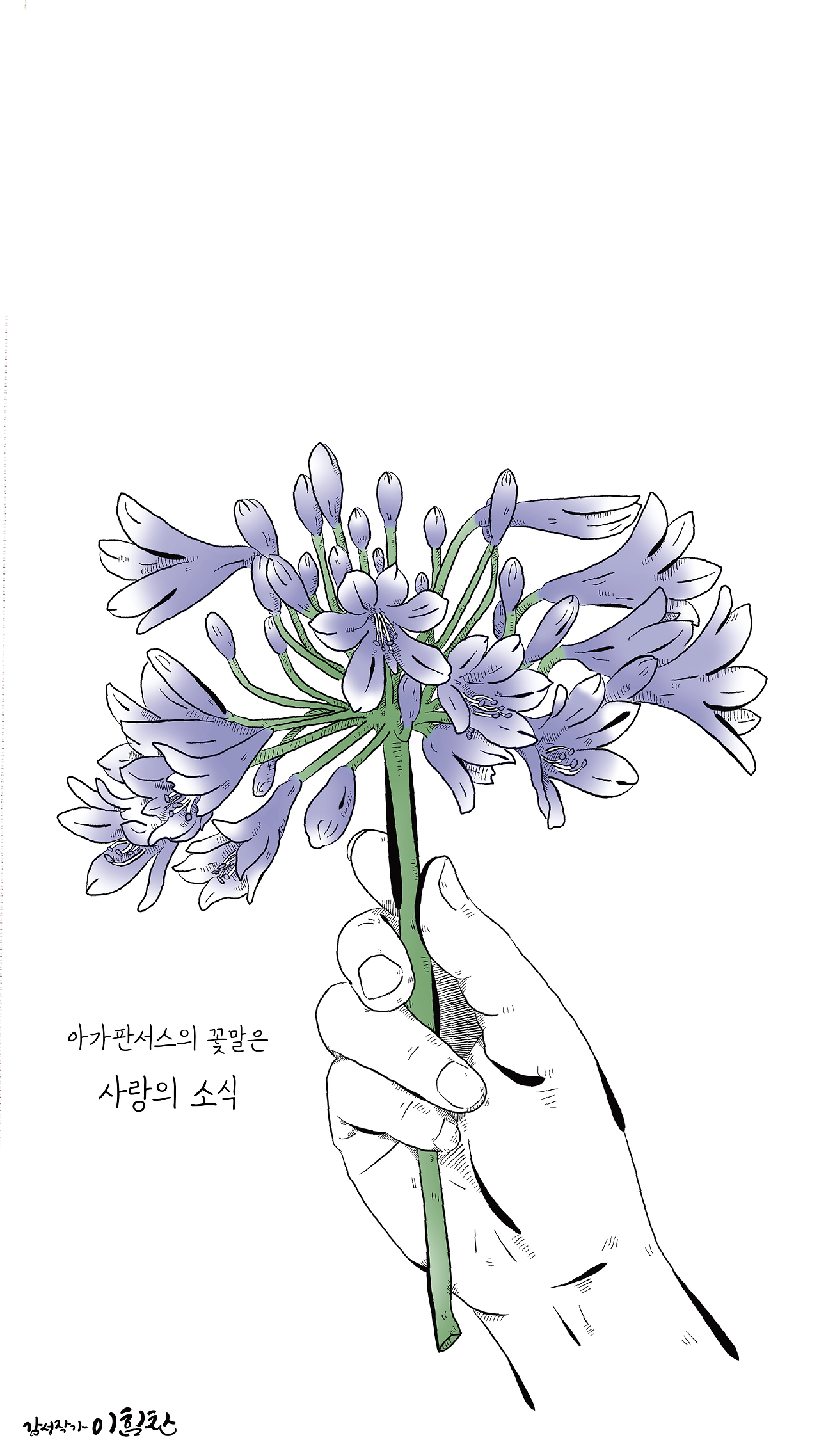 꽃말배경9 (2).png