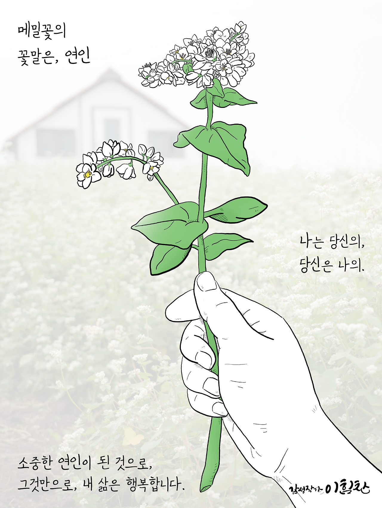 꽃이야기-메밀꽃1.png