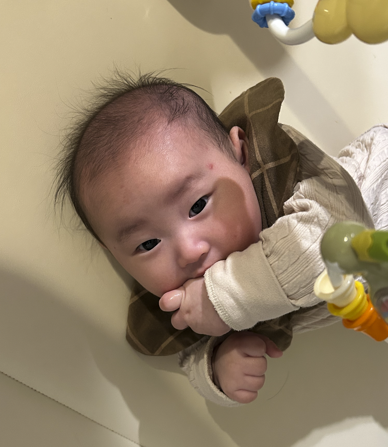 스크린샷 2025-12-15 오후 7.29.40.png