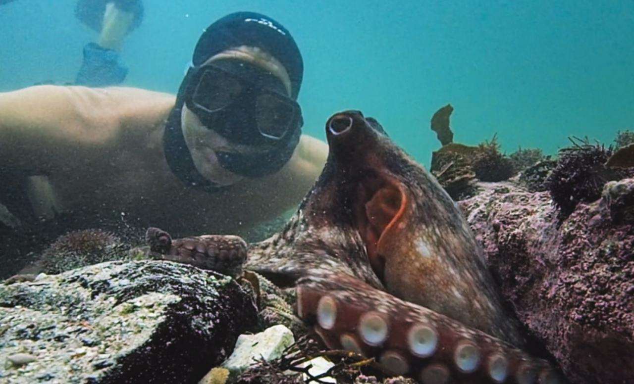 나의문어선생님 1.png