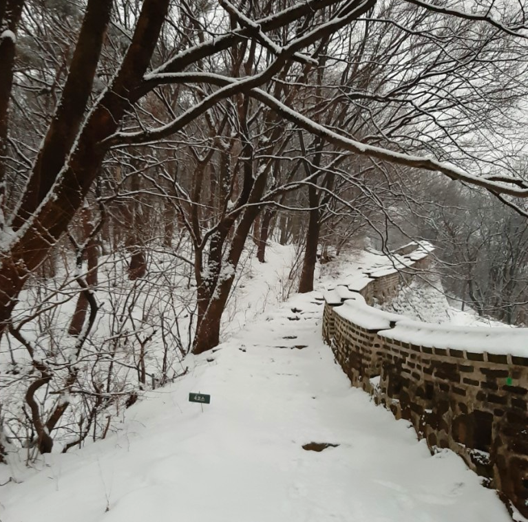 다운로드 (4).png