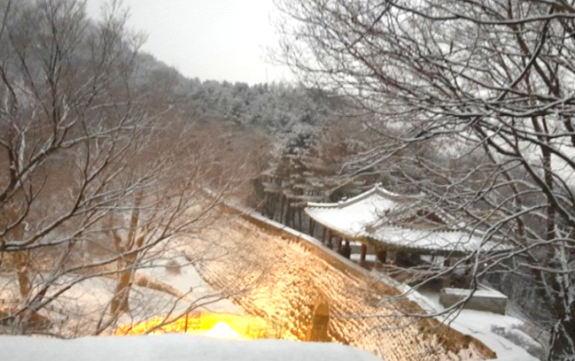 다운로드 (1).png