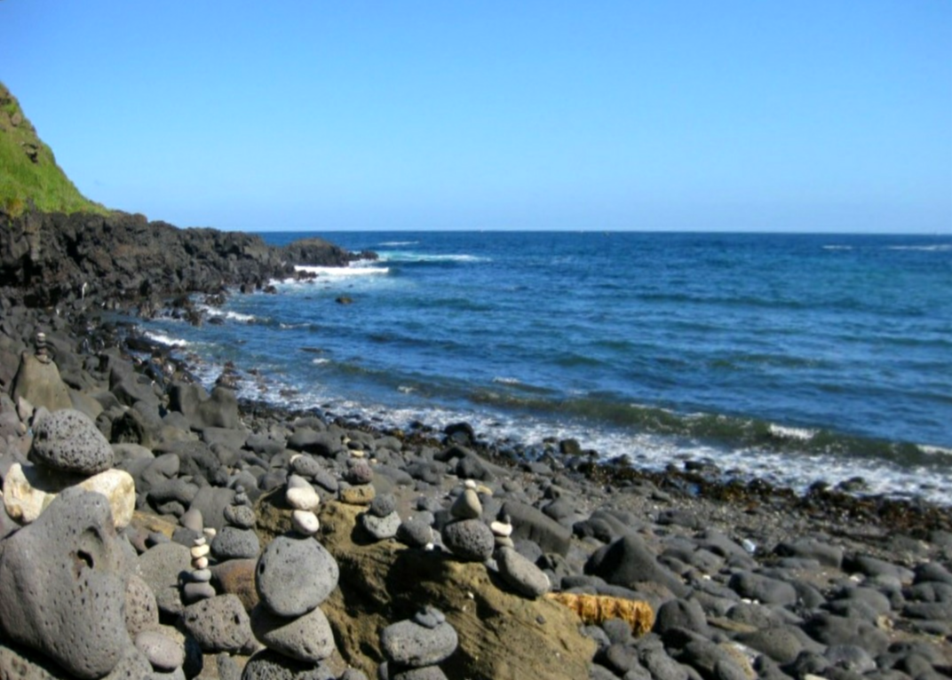 다운로드 (2).png