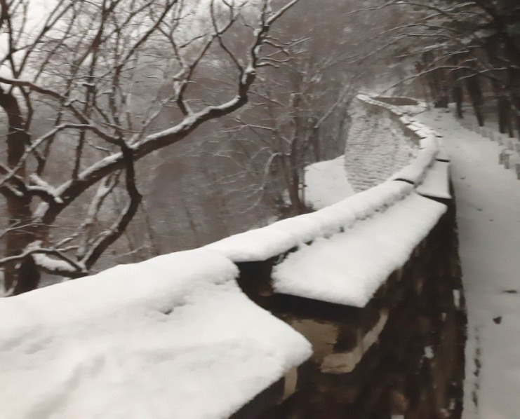 다운로드 (5).png