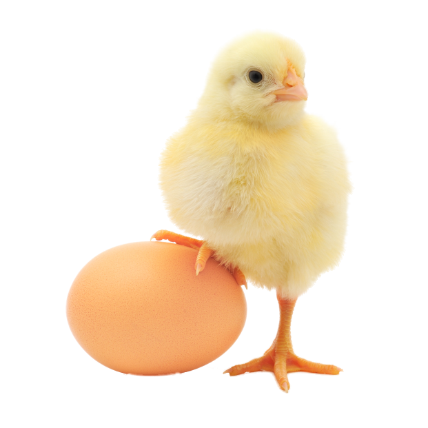 pngegg - 2021-01-14T012635.462.png