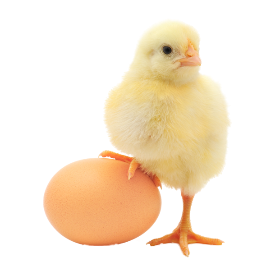 pngegg - 2021-01-14T012635.462.png