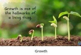 growth.png