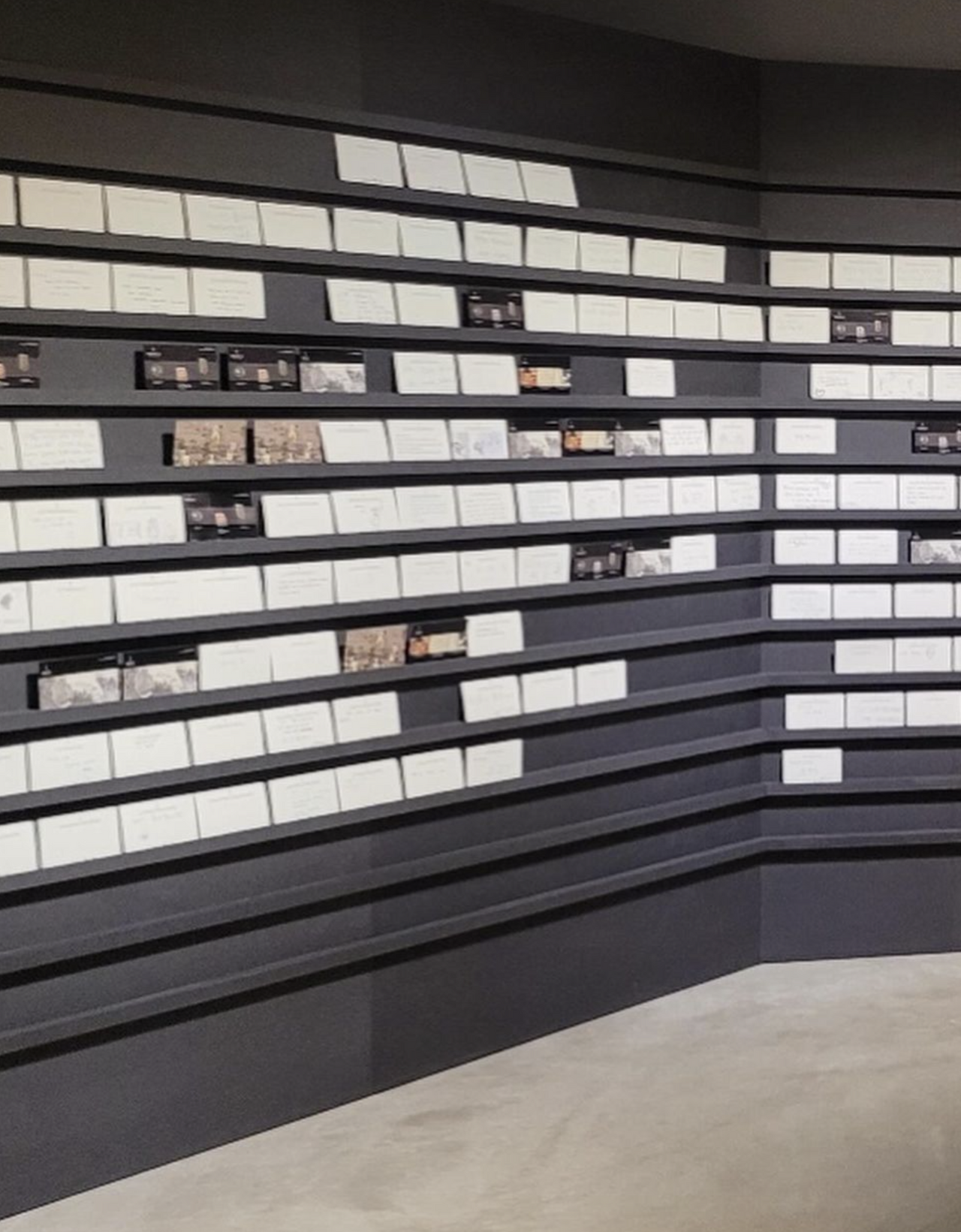 Screenshot 2024-04-03 at 11.31.45 AM.png