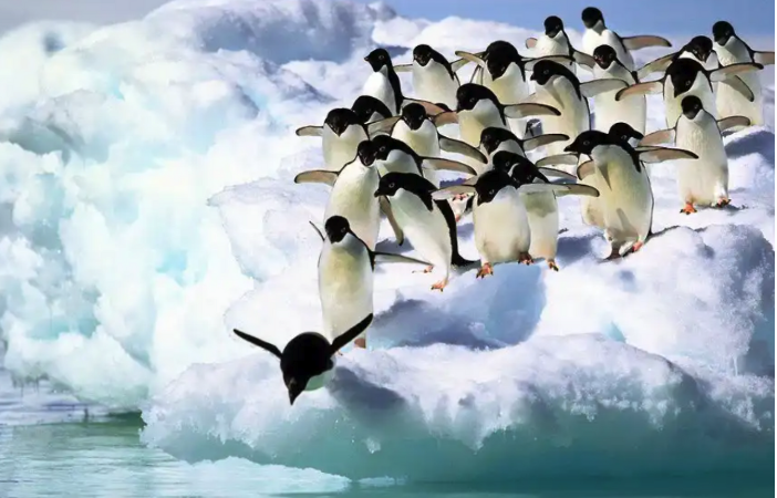 Screenshot 2026-01-06 at 5.17.22 PM.png