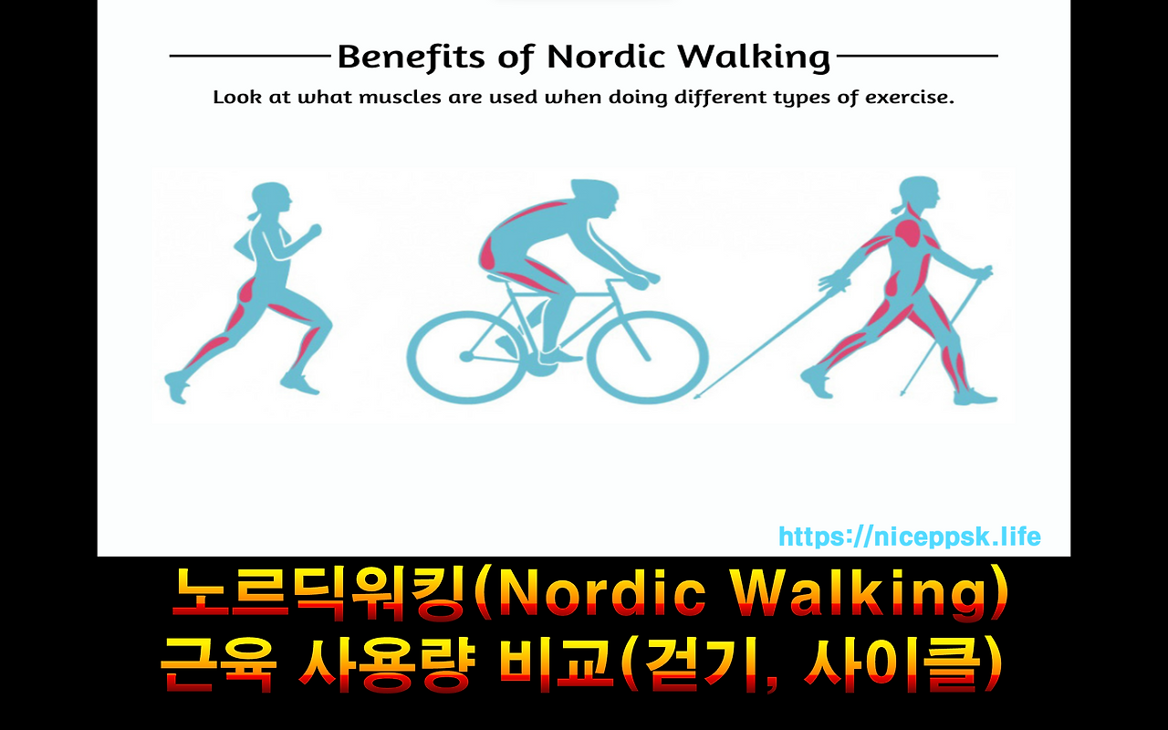 스크린샷 2024-02-19 214927.png