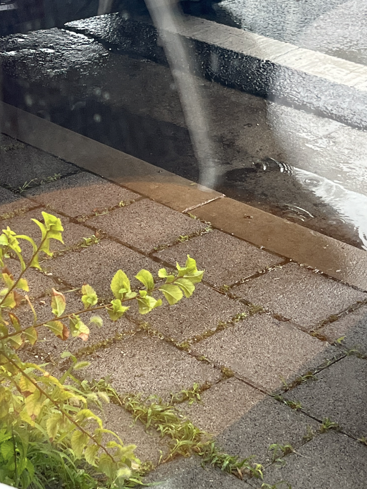 스크린샷 2025-09-13 오전 11.08.15.png