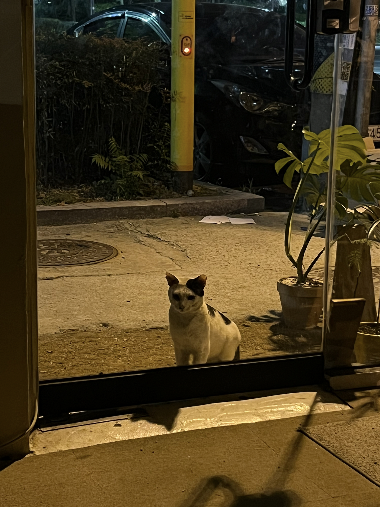 스크린샷 2025-09-13 오후 5.43.29.png