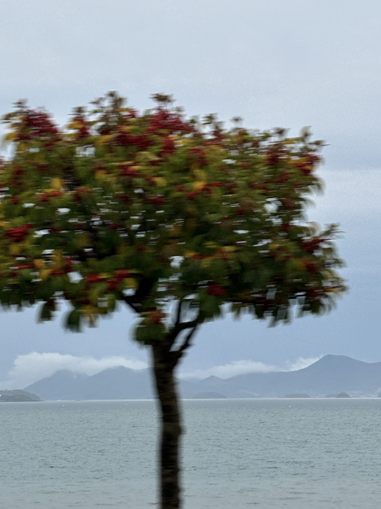 스크린샷 2025-09-13 오전 10.31.08.png