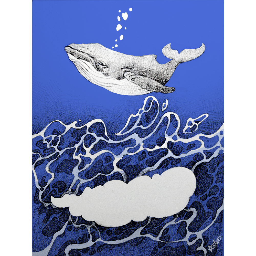 whale_web.png