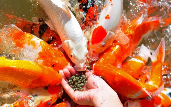 화면 캡처 2025-04-15 131950.png