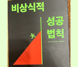 비상식적 성공의 법칙.png