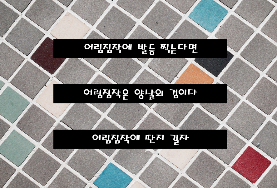 어림짐작 카드.png