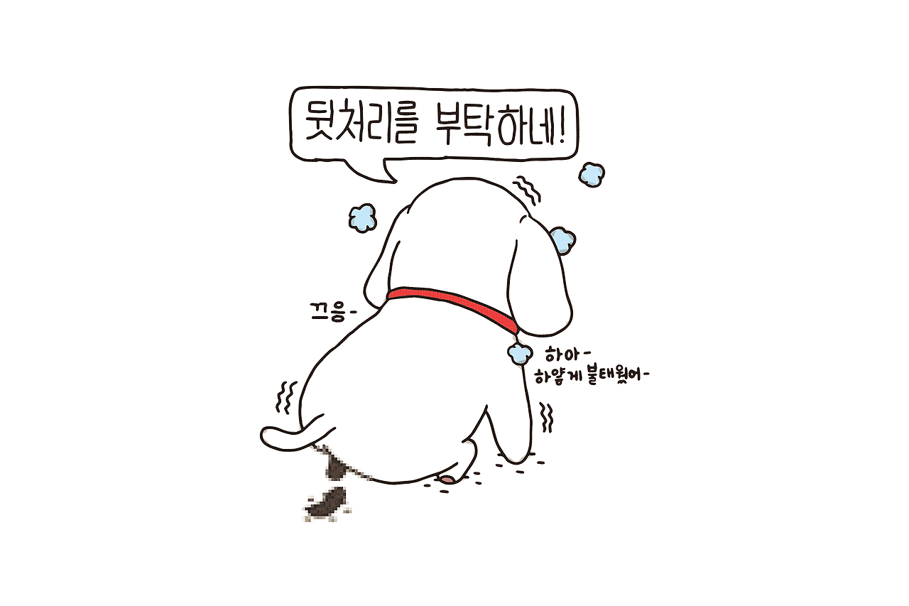 엽서이미지9.png
