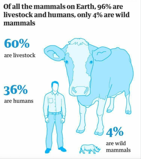 스크린샷 2020-02-01 오후 4.42.08.png